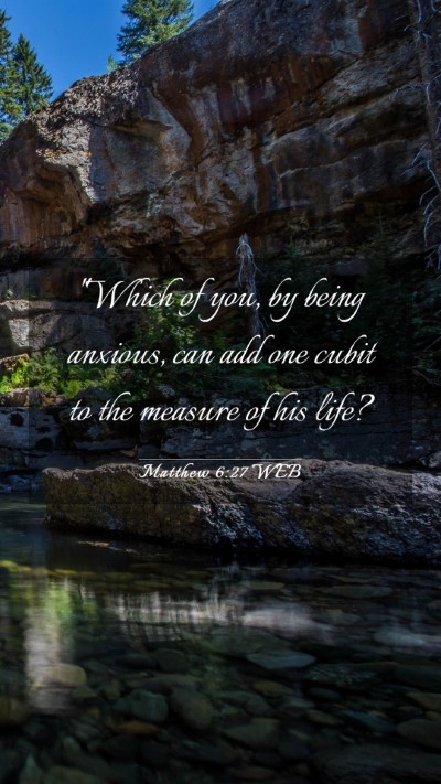 Picture 03 - Matthew 6:27 WEB Mobile Phone Wallpaper - 
