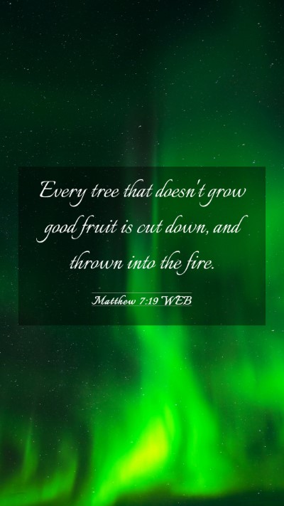 Picture 03 - Matthew 7:19 WEB Mobile Phone Wallpaper - Every tree that doesn't grow good fruit is cut - Mobile Bible Verse Wallpaper