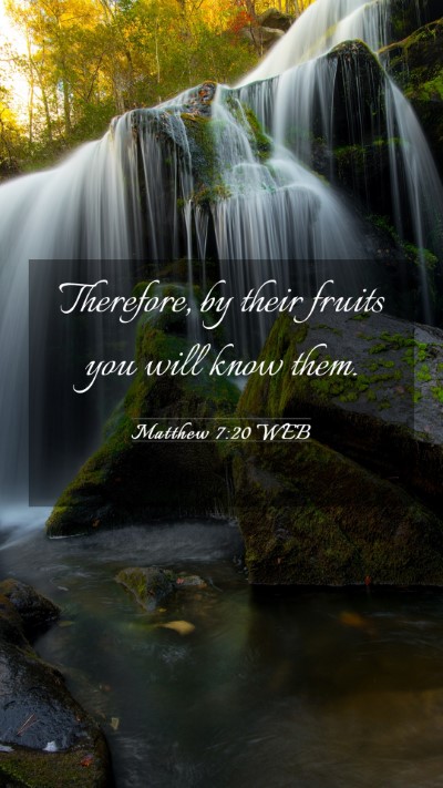 Picture 03 - Matthew 7:20 WEB Mobile Phone Wallpaper - Therefore, by their fruits you will know - Mobile Bible Verse Wallpaper