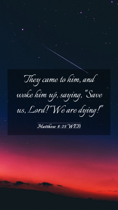 Picture 03 - Matthew 8:25 WEB Mobile Phone Wallpaper - They came to him, and woke him up, saying, 