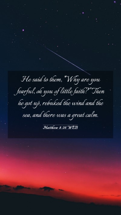 Picture 03 - Matthew 8:26 WEB Mobile Phone Wallpaper - He said to them, 