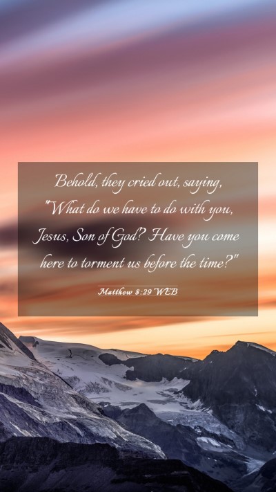 Picture 03 - Matthew 8:29 WEB Mobile Phone Wallpaper - Behold, they cried out, saying, 