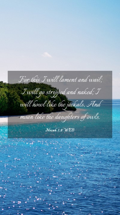 Picture 03 - Micah 1:8 WEB Mobile Phone Wallpaper - For this I will lament and wail; I will go - Mobile Bible Verse Wallpaper