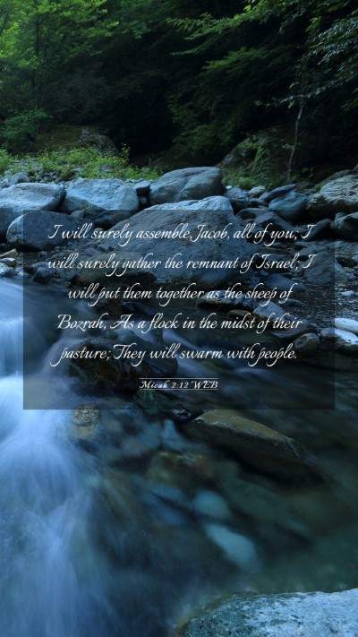 Picture 03 - Micah 2:12 WEB Mobile Phone Wallpaper - I will surely assemble, Jacob, all of you; I will - Mobile Bible Verse Wallpaper