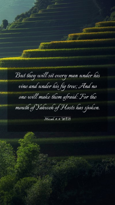 Picture 03 - Micah 4:4 WEB Mobile Phone Wallpaper - But they will sit every man under his vine and - Mobile Bible Verse Wallpaper