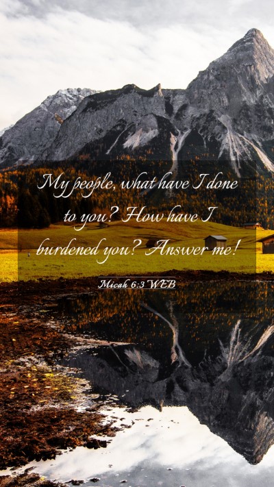 Picture 03 - Micah 6:3 WEB Mobile Phone Wallpaper - My people, what have I done to you? How have I - Mobile Bible Verse Wallpaper