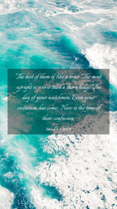 Picture 03 - Micah 7:4 WEB Mobile Phone Wallpaper - The best of them is like a brier. The most - Mobile Bible Verse Wallpaper