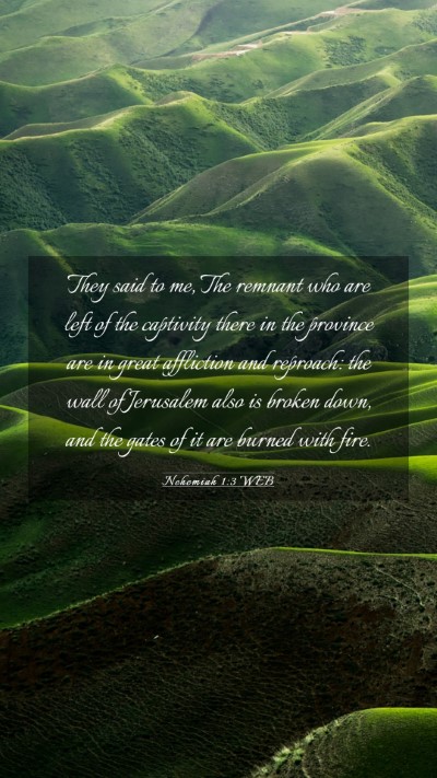 Picture 03 - Nehemiah 1:3 WEB Mobile Phone Wallpaper - They said to me, The remnant who are left of the - Mobile Bible Verse Wallpaper