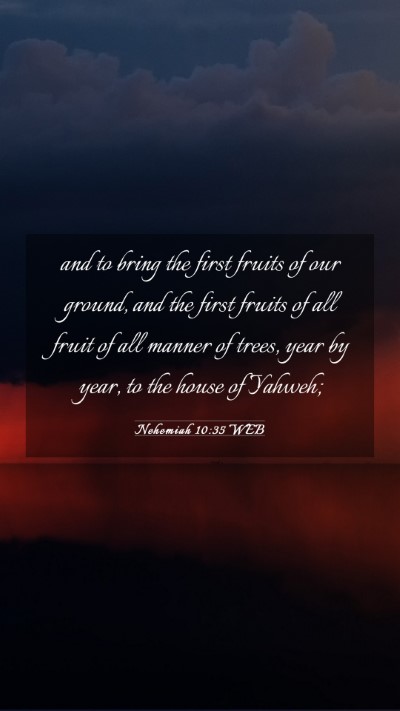 Picture 03 - Nehemiah 10:35 WEB Mobile Phone Wallpaper - and to bring the first fruits of our ground, and - Mobile Bible Verse Wallpaper