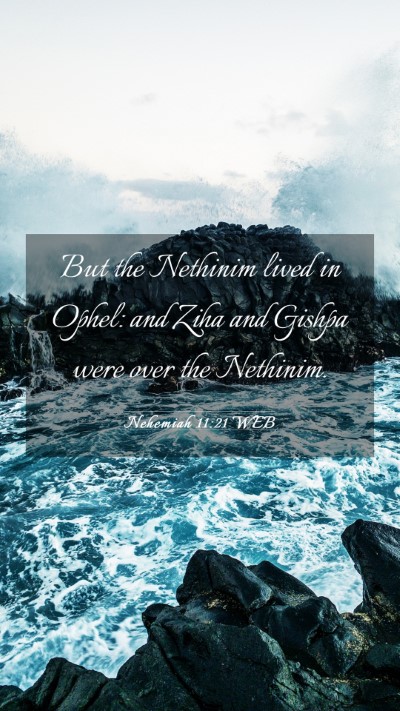 Picture 03 - Nehemiah 11:21 WEB Mobile Phone Wallpaper - But the Nethinim lived in Ophel: and Ziha and - Mobile Bible Verse Wallpaper