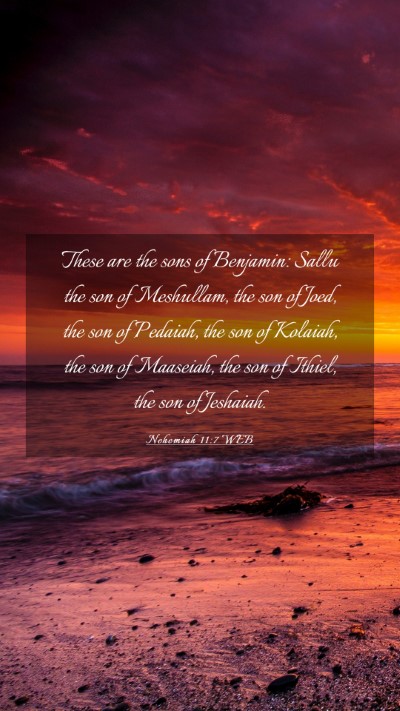 Picture 03 - Nehemiah 11:7 WEB Mobile Phone Wallpaper - These are the sons of Benjamin: Sallu the son of - Mobile Bible Verse Wallpaper