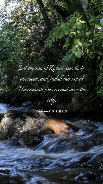 Picture 03 - Nehemiah 11:9 WEB Mobile Phone Wallpaper - Joel the son of Zichri was their overseer; and - Mobile Bible Verse Wallpaper