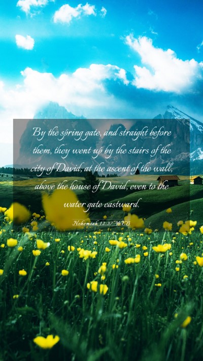 Picture 03 - Nehemiah 12:37 WEB Mobile Phone Wallpaper - By the spring gate, and straight before them, - Mobile Bible Verse Wallpaper