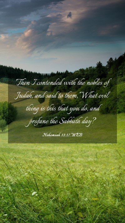 Picture 03 - Nehemiah 13:17 WEB Mobile Phone Wallpaper - Then I contended with the nobles of Judah, and - Mobile Bible Verse Wallpaper