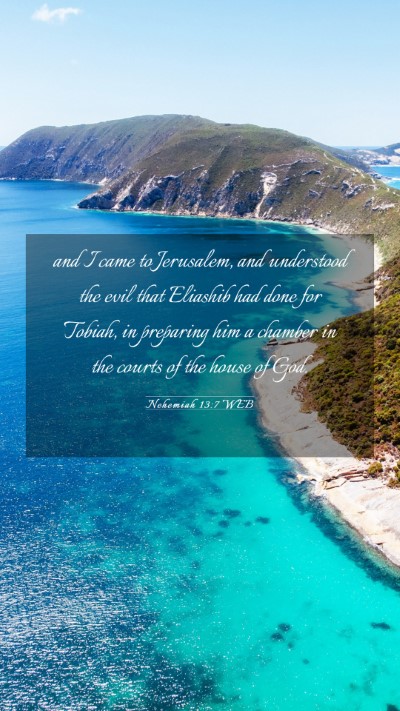 Picture 03 - Nehemiah 13:7 WEB Mobile Phone Wallpaper - and I came to Jerusalem, and understood the evil - Mobile Bible Verse Wallpaper