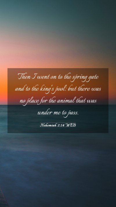 Picture 03 - Nehemiah 2:14 WEB Mobile Phone Wallpaper - Then I went on to the spring gate and to the - Mobile Bible Verse Wallpaper