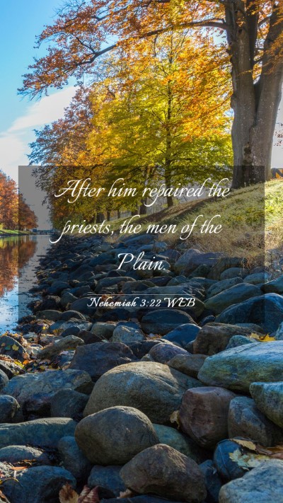 Picture 03 - Nehemiah 3:22 WEB Mobile Phone Wallpaper - After him repaired the priests, the men of the - Mobile Bible Verse Wallpaper