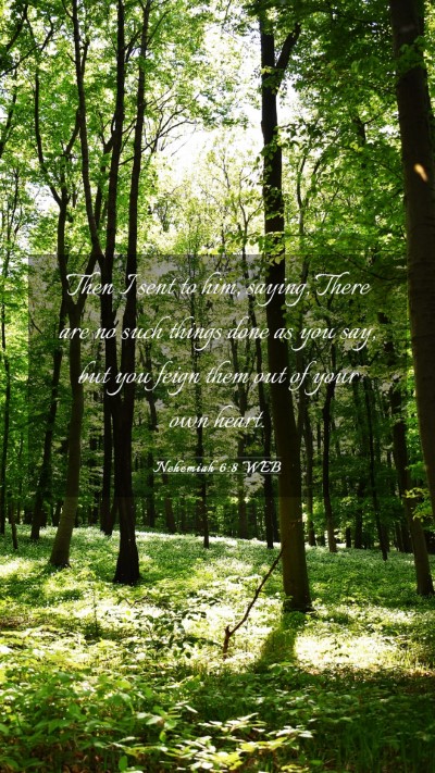 Picture 03 - Nehemiah 6:8 WEB Mobile Phone Wallpaper - Then I sent to him, saying, There are no such - Mobile Bible Verse Wallpaper