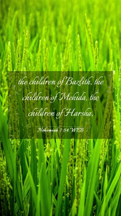 Picture 03 - Nehemiah 7:54 WEB Mobile Phone Wallpaper - the children of Bazlith, the children of Mehida, - Mobile Bible Verse Wallpaper