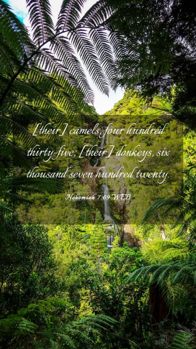 Picture 03 - Nehemiah 7:69 WEB Mobile Phone Wallpaper - [their] camels, four hundred thirty-five; [their] - Mobile Bible Verse Wallpaper
