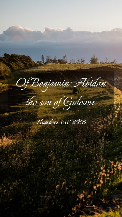 Picture 03 - Numbers 1:11 WEB Mobile Phone Wallpaper - Of Benjamin: Abidan the son of - Mobile Bible Verse Wallpaper