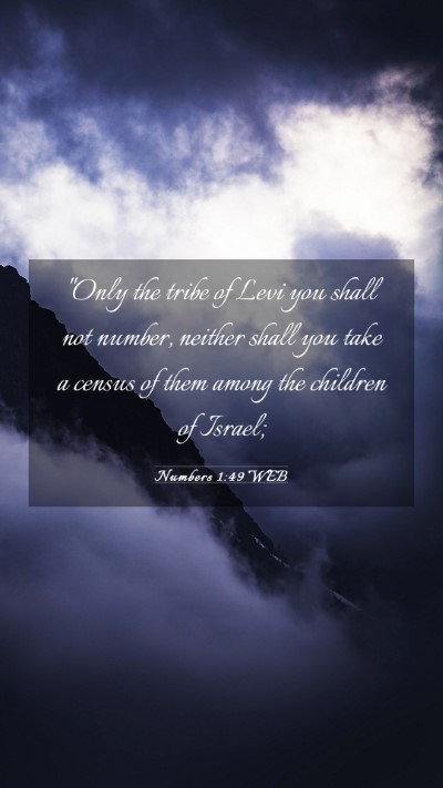 Picture 03 - Numbers 1:49 WEB Mobile Phone Wallpaper - 