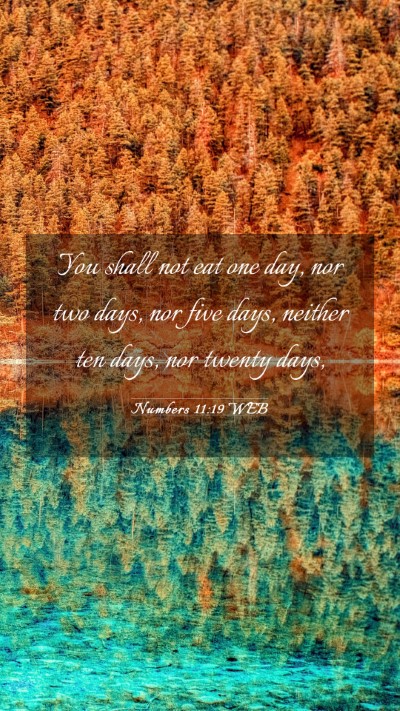 Picture 03 - Numbers 11:19 WEB Mobile Phone Wallpaper - You shall not eat one day, nor two days, nor five - Mobile Bible Verse Wallpaper