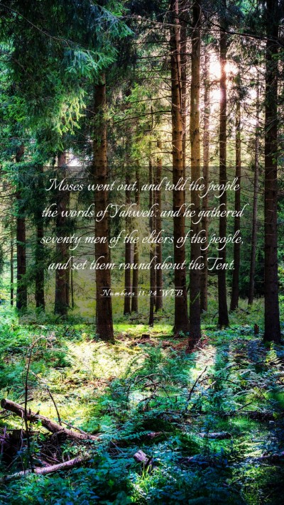 Picture 03 - Numbers 11:24 WEB Mobile Phone Wallpaper - Moses went out, and told the people the words of - Mobile Bible Verse Wallpaper