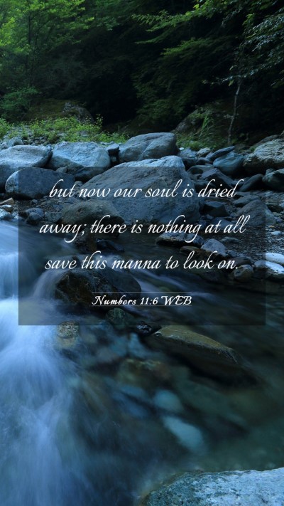 Picture 03 - Numbers 11:6 WEB Mobile Phone Wallpaper - but now our soul is dried away; there is nothing - Mobile Bible Verse Wallpaper