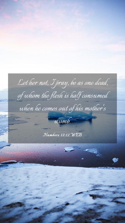 Picture 03 - Numbers 12:12 WEB Mobile Phone Wallpaper - Let her not, I pray, be as one dead, of whom the - Mobile Bible Verse Wallpaper