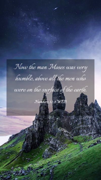 Picture 03 - Numbers 12:3 WEB Mobile Phone Wallpaper - Now the man Moses was very humble, above all the - Mobile Bible Verse Wallpaper