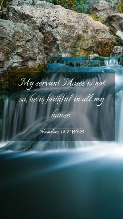 Picture 03 - Numbers 12:7 WEB Mobile Phone Wallpaper - My servant Moses is not so; he is faithful in all - Mobile Bible Verse Wallpaper