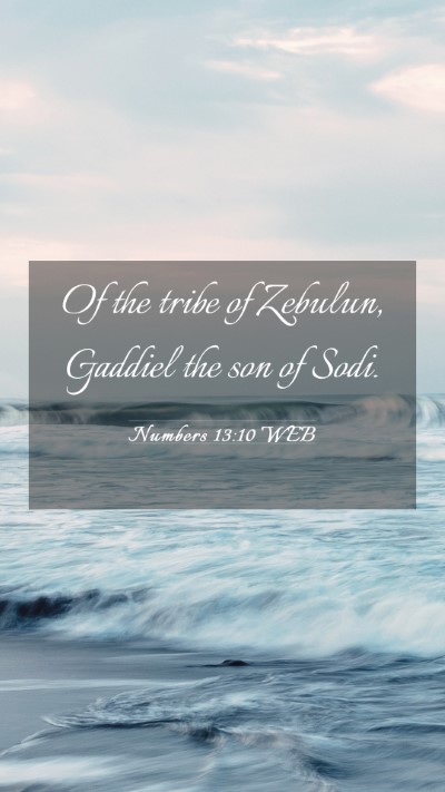 Picture 03 - Numbers 13:10 WEB Mobile Phone Wallpaper - Of the tribe of Zebulun, Gaddiel the son of - Mobile Bible Verse Wallpaper