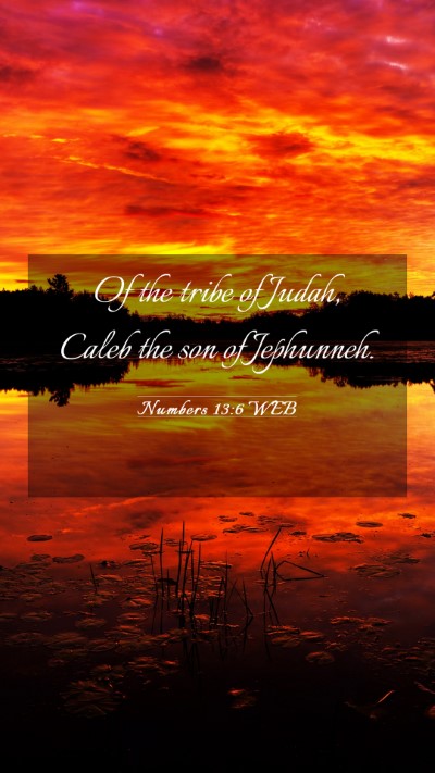Picture 03 - Numbers 13:6 WEB Mobile Phone Wallpaper - Of the tribe of Judah, Caleb the son of - Mobile Bible Verse Wallpaper