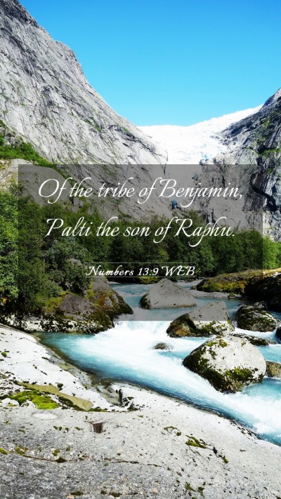 Picture 03 - Numbers 13:9 WEB Mobile Phone Wallpaper - Of the tribe of Benjamin, Palti the son of - Mobile Bible Verse Wallpaper