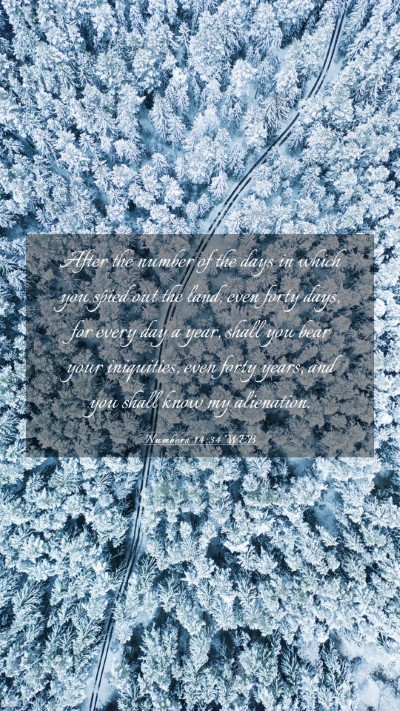 Picture 03 - Numbers 14:34 WEB Mobile Phone Wallpaper - After the number of the days in which you spied - Mobile Bible Verse Wallpaper