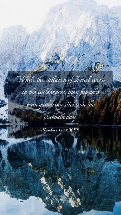 Picture 03 - Numbers 15:32 WEB Mobile Phone Wallpaper - While the children of Israel were in the - Mobile Bible Verse Wallpaper