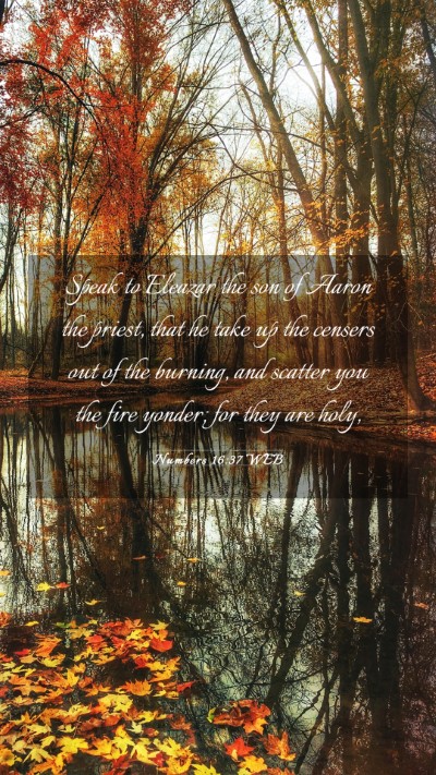 Picture 03 - Numbers 16:37 WEB Mobile Phone Wallpaper - Speak to Eleazar the son of Aaron the priest, - Mobile Bible Verse Wallpaper
