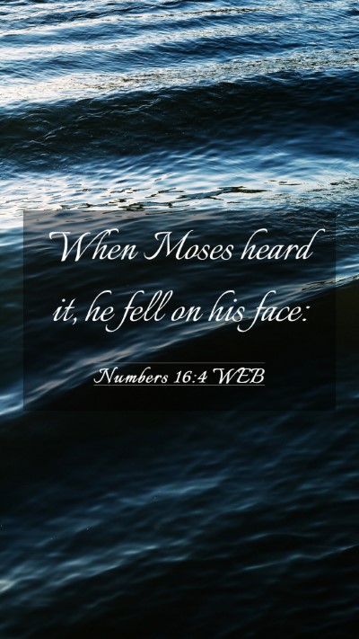 Picture 03 - Numbers 16:4 WEB Mobile Phone Wallpaper - When Moses heard it, he fell on his - Mobile Bible Verse Wallpaper