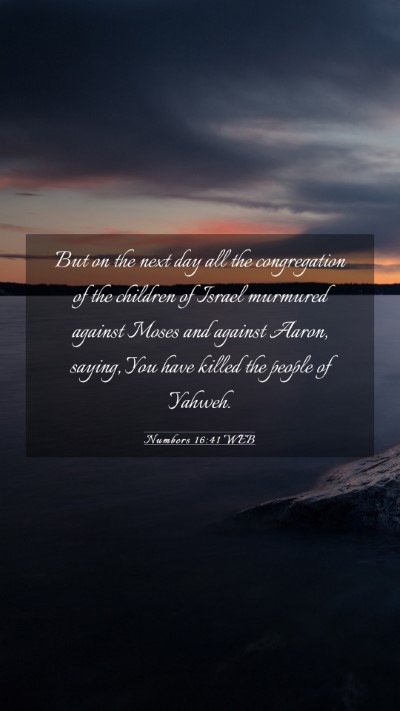 Picture 03 - Numbers 16:41 WEB Mobile Phone Wallpaper - But on the next day all the congregation of the - Mobile Bible Verse Wallpaper