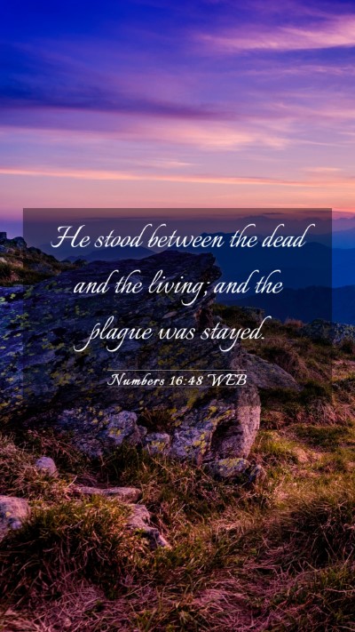 Picture 03 - Numbers 16:48 WEB Mobile Phone Wallpaper - He stood between the dead and the living; and the - Mobile Bible Verse Wallpaper