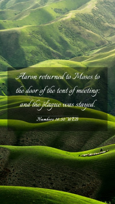 Picture 03 - Numbers 16:50 WEB Mobile Phone Wallpaper - Aaron returned to Moses to the door of the tent - Mobile Bible Verse Wallpaper