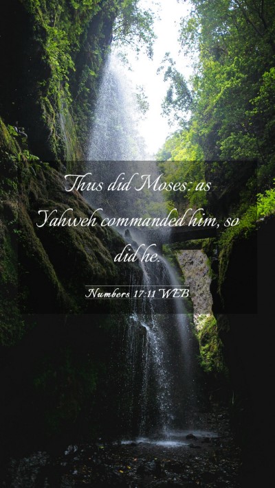 Picture 03 - Numbers 17:11 WEB Mobile Phone Wallpaper - Thus did Moses: as Yahweh commanded him, so did - Mobile Bible Verse Wallpaper