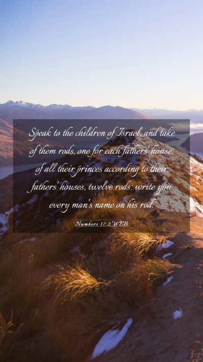 Picture 03 - Numbers 17:2 WEB Mobile Phone Wallpaper - Speak to the children of Israel, and take of them - Mobile Bible Verse Wallpaper