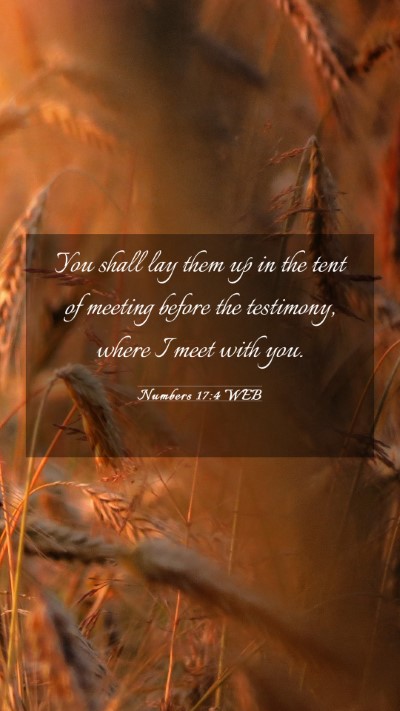 Picture 03 - Numbers 17:4 WEB Mobile Phone Wallpaper - You shall lay them up in the tent of meeting - Mobile Bible Verse Wallpaper