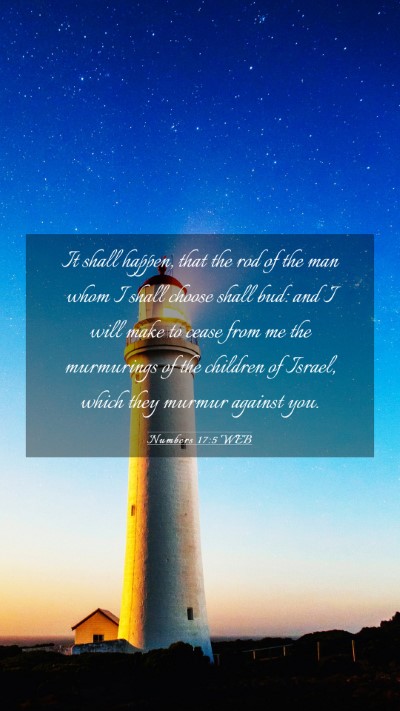 Picture 03 - Numbers 17:5 WEB Mobile Phone Wallpaper - It shall happen, that the rod of the man whom I - Mobile Bible Verse Wallpaper