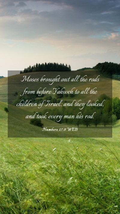 Picture 03 - Numbers 17:9 WEB Mobile Phone Wallpaper - Moses brought out all the rods from before Yahweh - Mobile Bible Verse Wallpaper