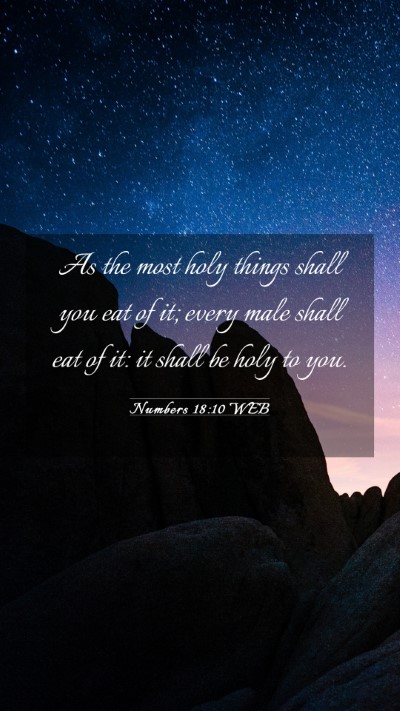 Picture 03 - Numbers 18:10 WEB Mobile Phone Wallpaper - As the most holy things shall you eat of it; - Mobile Bible Verse Wallpaper