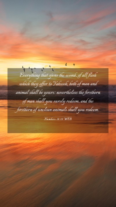 Picture 03 - Numbers 18:15 WEB Mobile Phone Wallpaper - Everything that opens the womb, of all flesh - Mobile Bible Verse Wallpaper