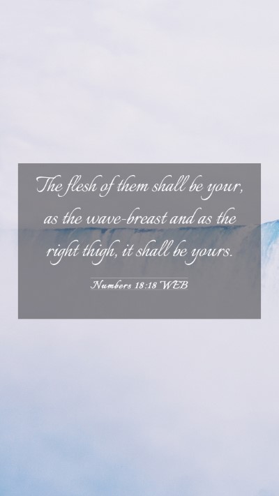 Picture 03 - Numbers 18:18 WEB Mobile Phone Wallpaper - The flesh of them shall be your, as the - Mobile Bible Verse Wallpaper